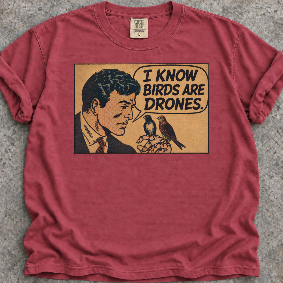 Birds Are Drones T-Shirt
