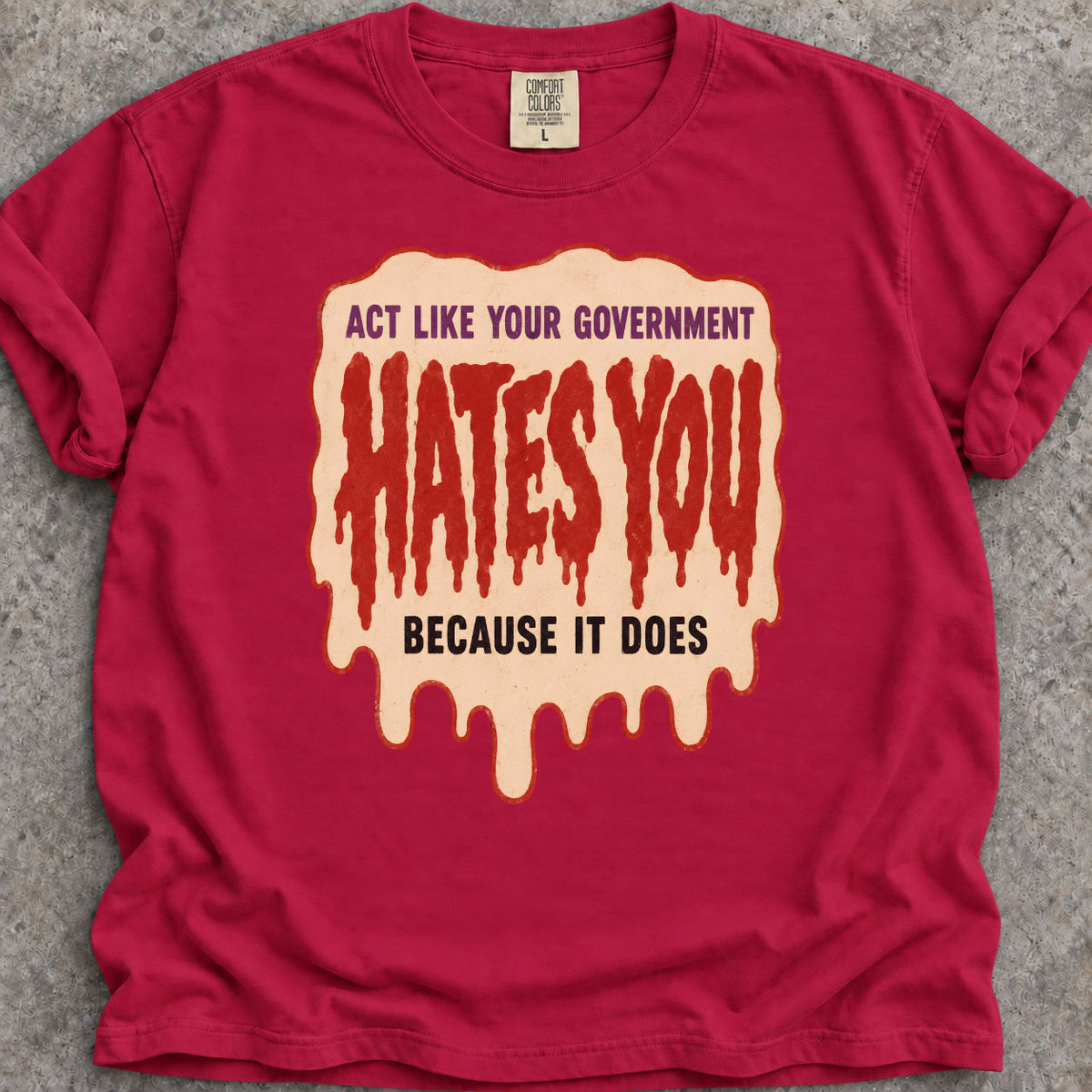 Government Hates You T-Shirt
